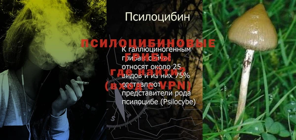 мескалин Богданович
