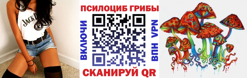 Псилоцибиновые грибы Psilocybe  kraken как зайти  Сковородино 